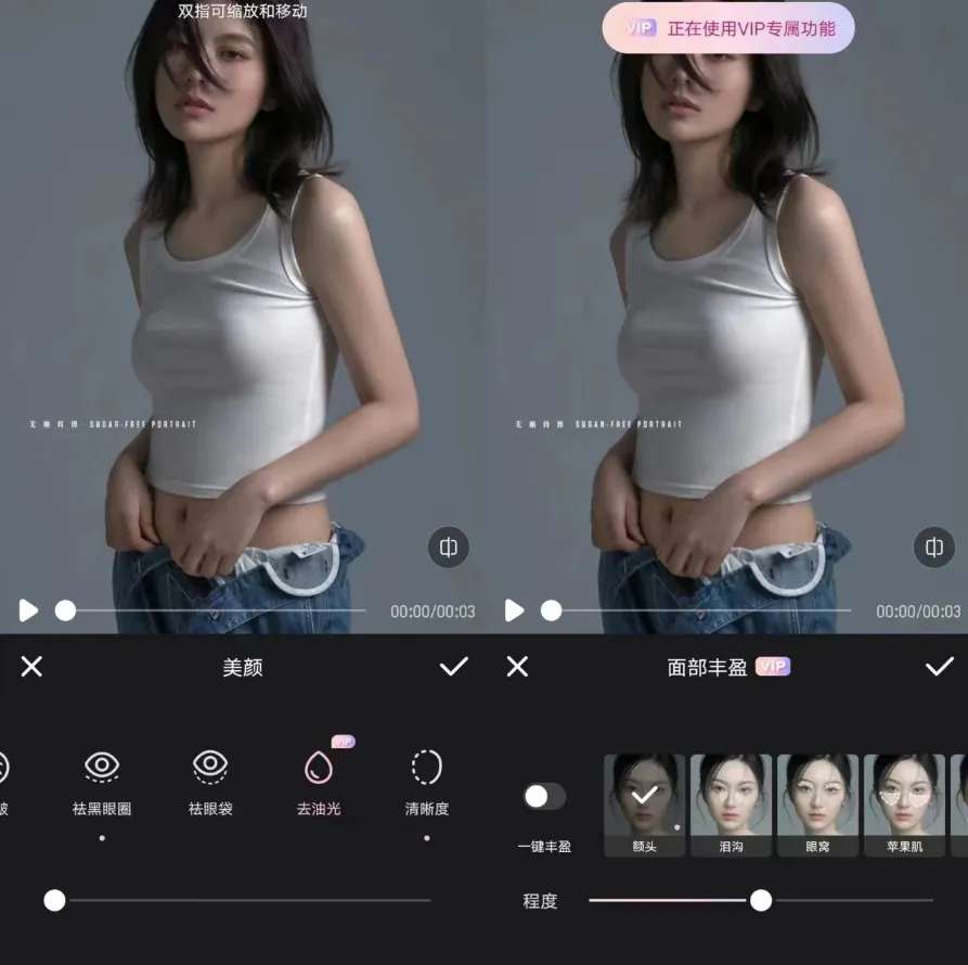 Meitu Wink（解锁会员）