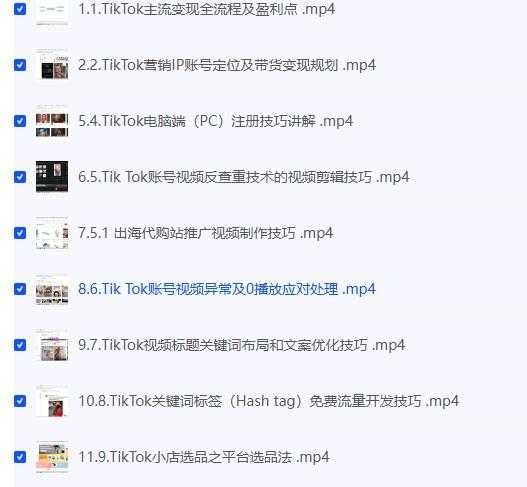 【百聚汇】TikTok跨境短视频零基础到精通网赚变现课